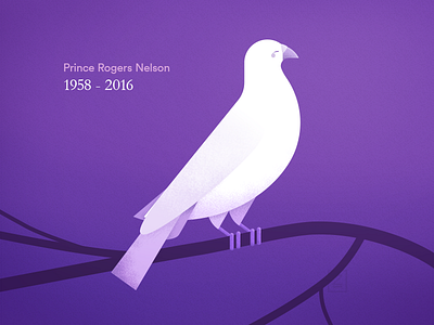 When doves cry