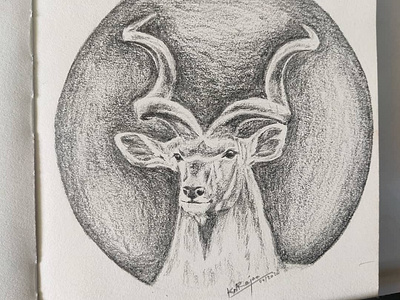 MyArt: Spiral-horned Antelope antelope art deer pencil sketch pencils sketch