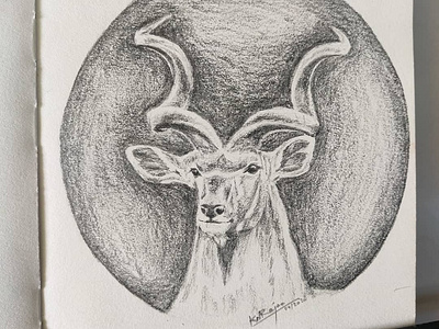 MyArt: Spiral-horned Antelope