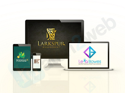 Logo Designs designes illustration logo logo designer vector website logo