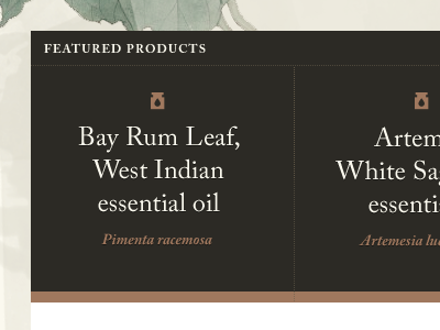 Featured Products brown caslon copper e commerce ui