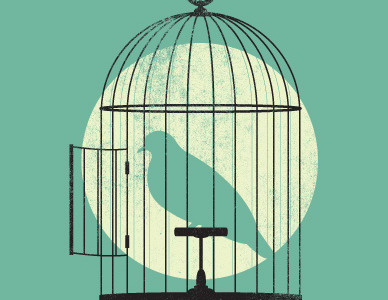 Caged bird cage illustration teal