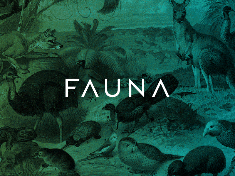 Fauna Branding