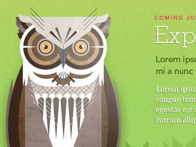 A Modern Eden green illustration interface owl ui web design