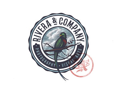 Rivera & Co. Badge Design badgedesign bird bird illustration clouds engraving illustration logo design nature photography quetzel scratchboard stamp