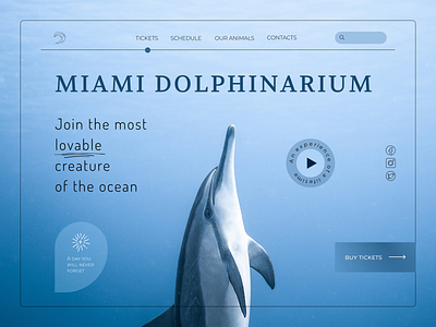 Dolphinarium design ui ux