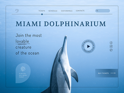 Dolphinarium