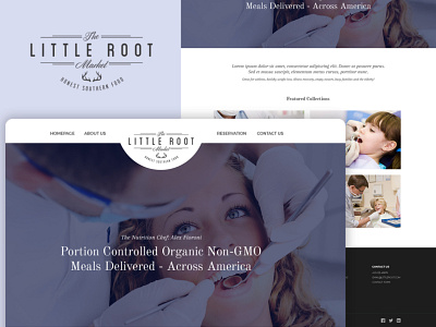 LITTLE ROOT MARKET- Organic Food branding ecommerce food food delivery nutrition food organic food web designer website website design