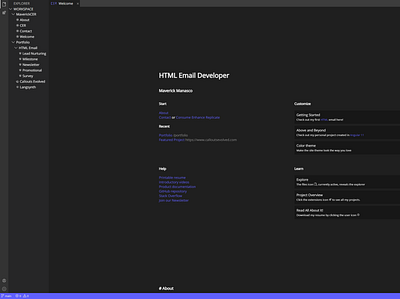 Visual Studio Portfolio Website web design