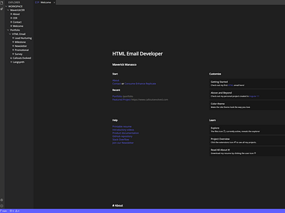 Visual Studio Portfolio Website