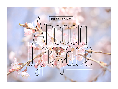 Arcadia Typeface (Free Download) download font free typeface zinartwork