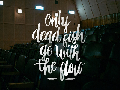 Only dead fish go with the flow brush hand lettering hand type hanoi lettering swash type typography vietnam