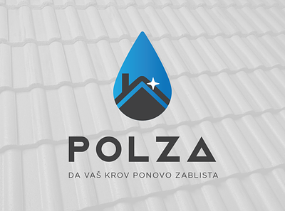 Polza - Roof cleaning company branding design graphic design illustration logo vector