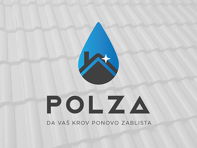 Polza - Roof cleaning company