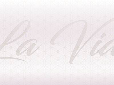 LaVida - identity branding branding design graphic design illustration logo vector