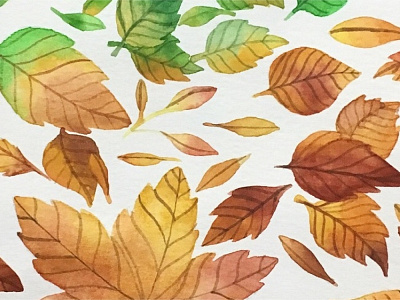 Autumn Leaves autumn fall leaves watercolor