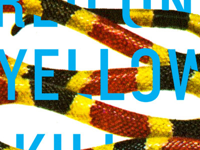 red on yellow kill a fellow collage coral dangerous kill phrase red rhyme snake text yellow