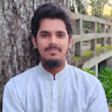 Developer Al-Amin