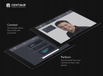 Centaur - App for Entrepreneurs and Accountants branding design typography ui ux