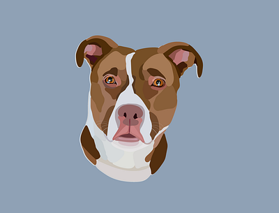 Series: Shelter Pets Are Rad animal illustration design designdogs dogs illustration shelter pets vector