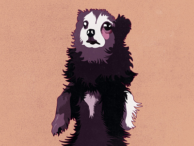 Zelda animal illustration cute dogs design designdogs dogs illustration pet illustration pets vector