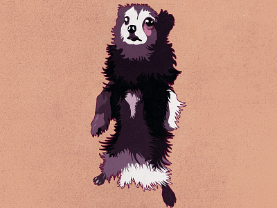 Zelda animal illustration cute pets design designdogs dogs illustration pets vector