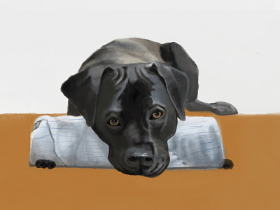 Moose animal illustration design designdogs dogs illustration pitties shelter pets vector
