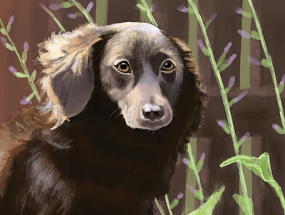 Reese animal illustration design designdogs dogs illustration
