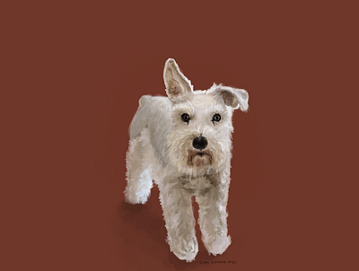 Finley animal illustration design designdogs dogs illustration pets