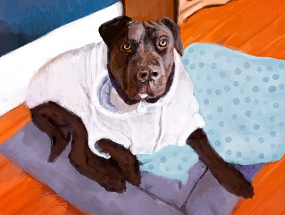 Moose animal illustration design designdogs dogs illustration