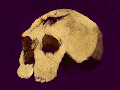 Skull design illustration procreate skull spooky