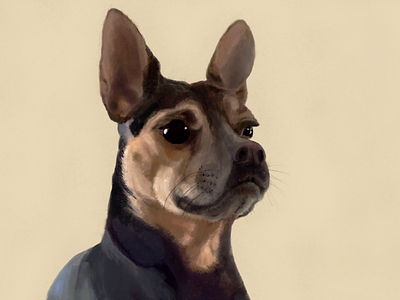 Chewy animal illustration cute dogs design digital painting doglover dogs illustration painting pet portraits portraits
