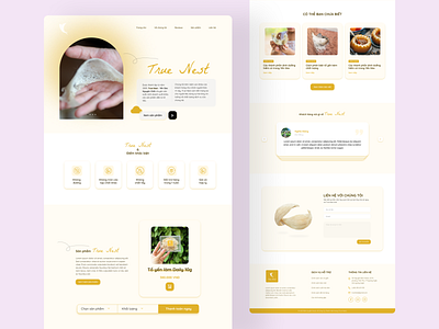 True Nest landing page