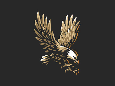 Eagle animal eagle illustration logo
