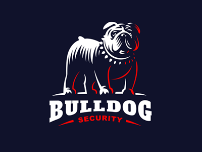 Bulldog bulldog dog