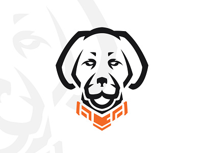 BlackDog Advisors | Logo Design