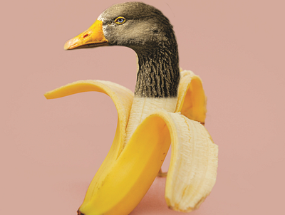 Banana Quack Quack art banana design duck mixology collection nft sterling