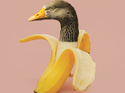 Banana Quack Quack