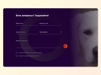 Nice pets dailyui