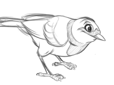 Bird sketch by AndyToonz