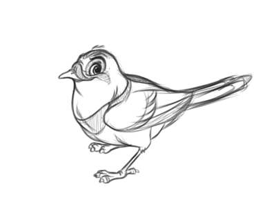 Bird by AndyToonz bird character design cute sketch