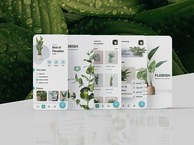Florish App - Best care for your plant app design desktop florish green home plant house house plants illustration mobile plant plants tree ui web website