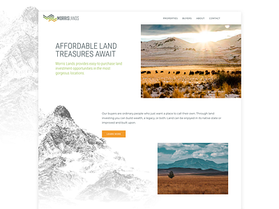 Morris Lands Website branding ecommerce galacticideas logo webdesign wordpress