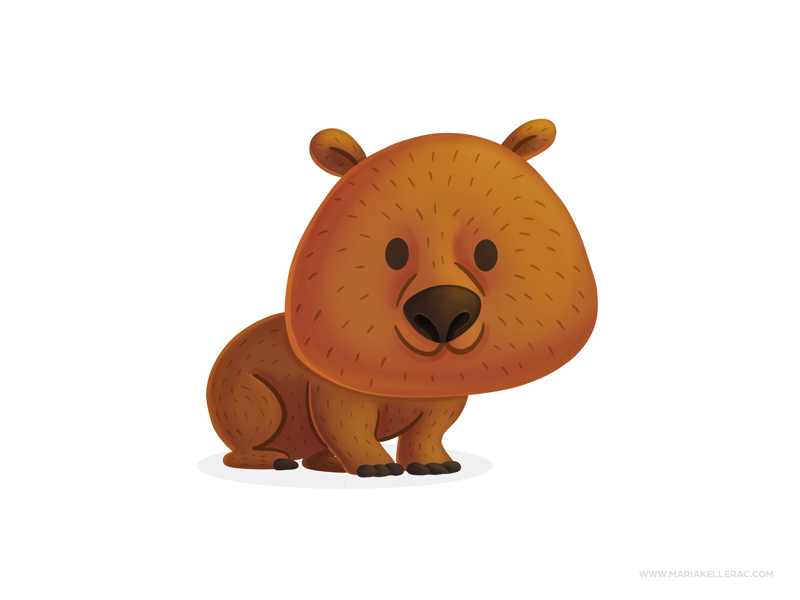 Wombat by Maria Keller on Dribbble