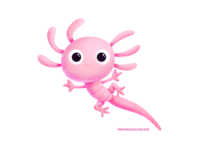 Axolotl Designs Themes Templates And Downloadable Graphic Elements On Dribbble Axolotl Designs Themes Templates And Downloadable Graphic Elements On Dribbble