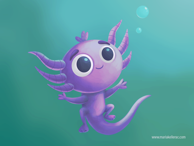 Axolotl by Maria Keller on Dribbble