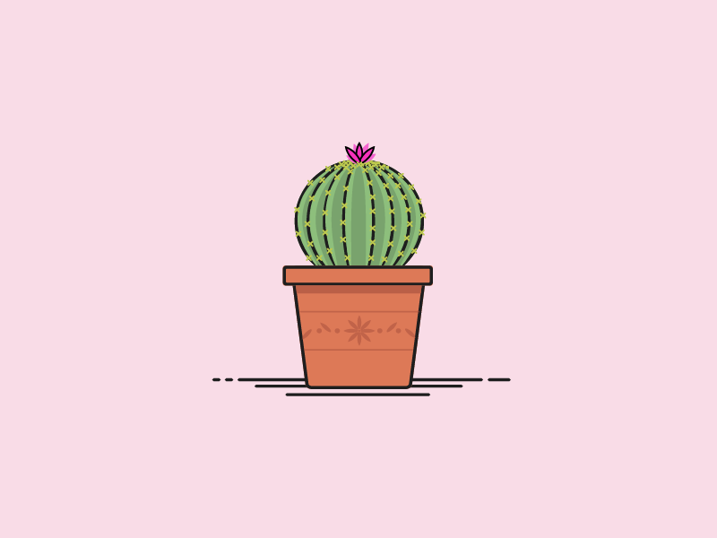 30 Minute Challenge - Potted Plant house plant succulent pot terra cotta cacti cactus potted plant plant
