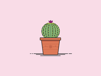 30 Minute Challenge - Potted Plant cacti cactus house plant plant pot potted plant succulent terra cotta