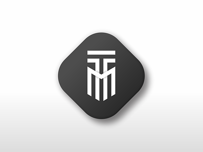 TM Icon app art branding design graphic design icon logo simple vector