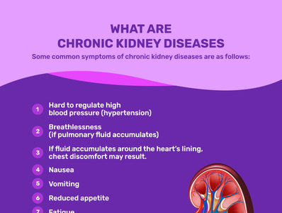 What Are Chronic Kidney Diseases By Rachel Blindauer On Dribbble